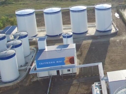 ТОО «Тайынша Май»